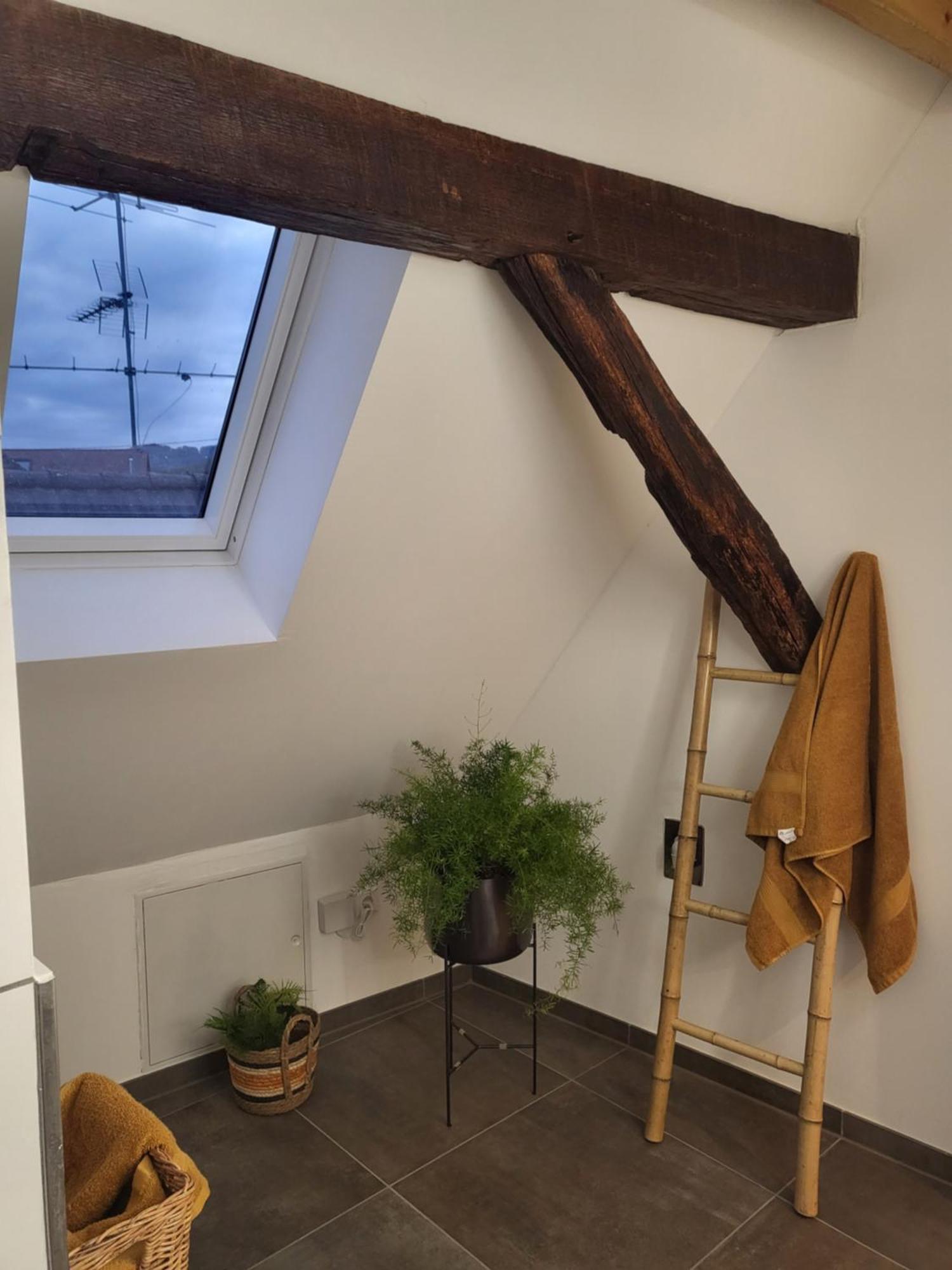 Ferienwohnung Im Rebstock Nr.1 Bahlingen  Exterior foto